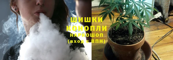 сатива Аркадак