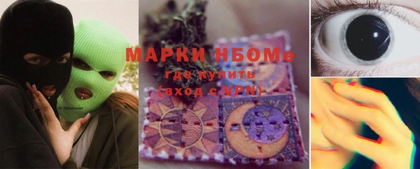 мет Алексин