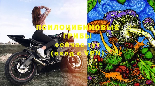 дмт Нефтекумск