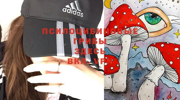 каннабис Арсеньев