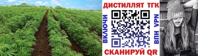 ТГК вейп с тгк Пугачёв