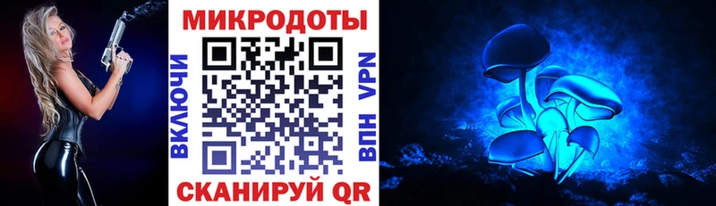 Галлюциногенные грибы Cubensis MEGA tor Пугачёв